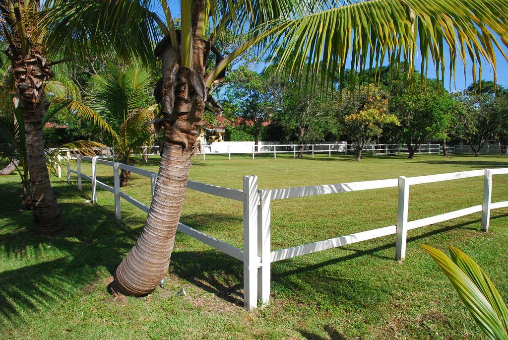 La Finca Miami Exterior photo